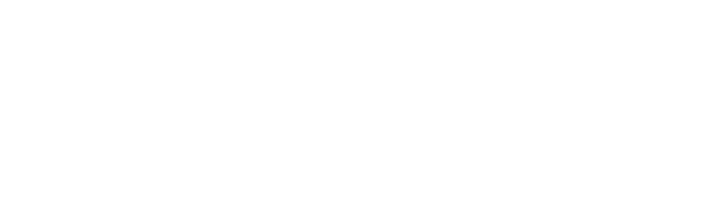AlgoFlow logo